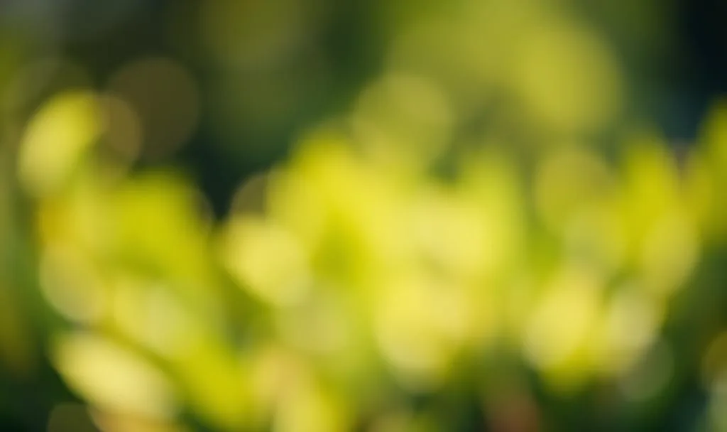 Website image