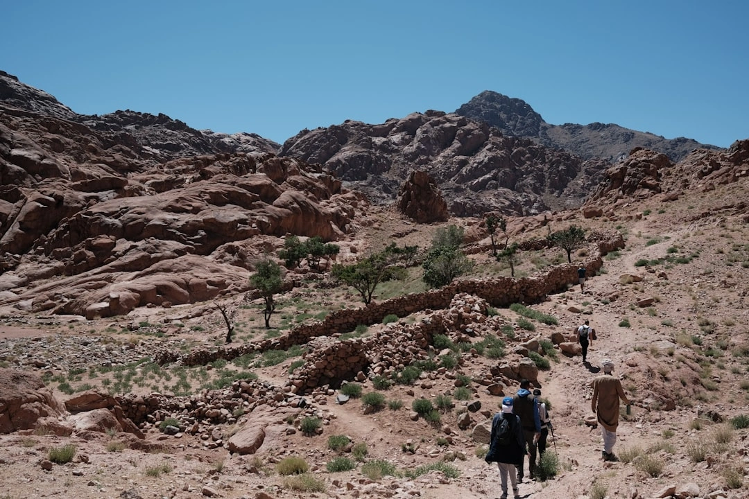 Sinai desert