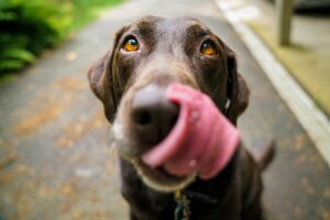 Tongues